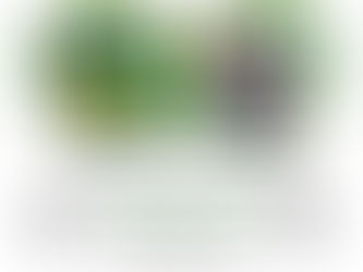 Come and Create during the half term holiday