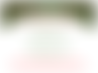 Christmas Opening Hours