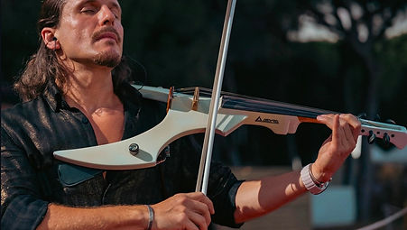 RM Violino