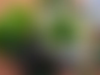 Piccolini Penne Pastasalat mit Fenchel, Erbsen und Minze