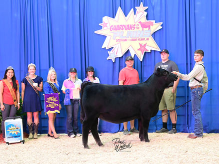 2023 National Junior Angus Show (NJAS)