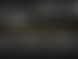 Angus Day of Giving 2024