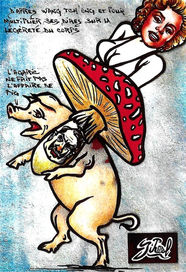Pig 5.jpg