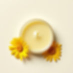 Calendula Healing Salve