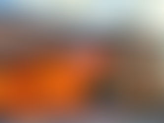 Autoridades e visitantes manifestam opinião sobre a reinauguração do Museu Kuahí