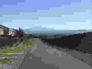 image1.jpeg