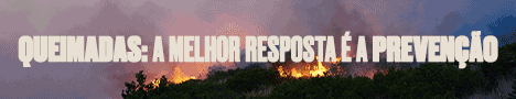 STM_Queimadas_WebBanners_468x90px.gif