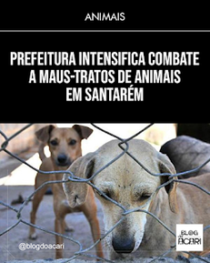 PREFEITURA INTENSIFICA COMBATE A MAUS-TRATOS DE ANIMAIS EM SANTARÉM