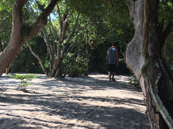 WhatsApp Image 2018-06-21 at 20.20.07