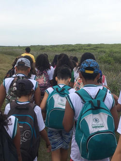 42279555_2123367534340303_19753883285386