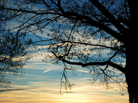 landscape sunset