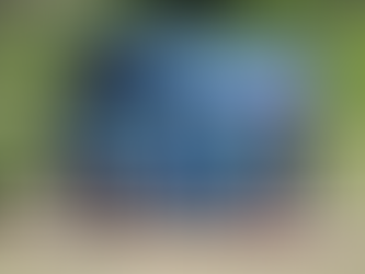 «Менің Отаным- Қазақстан» атты туристік экспедициялық жасақтардың слеті