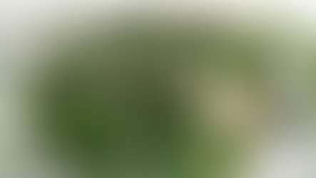 Зеленое строительство – будущее казахстанского экотуризма