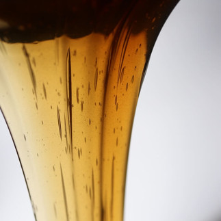 miel liquide du cap corse