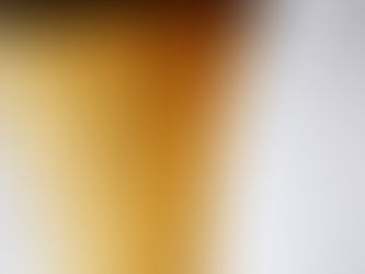 miel liquide du cap corse avant sa cristallisation