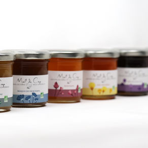 pourquoi le miel a differentes couleurs