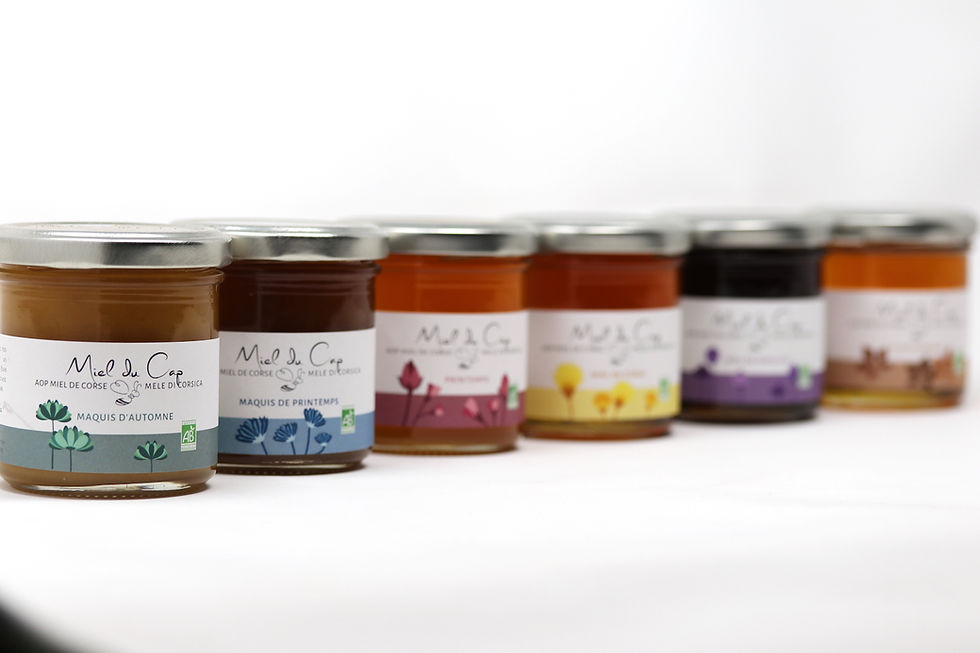 paysage corse apiculture