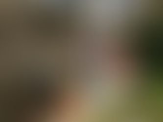 Pointing in Rottingdean