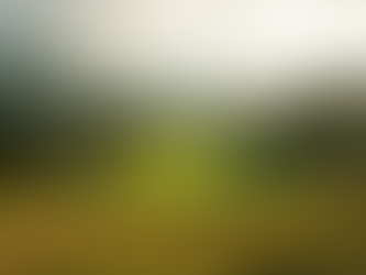 Experience Nature at Wareing Ranch Retreat