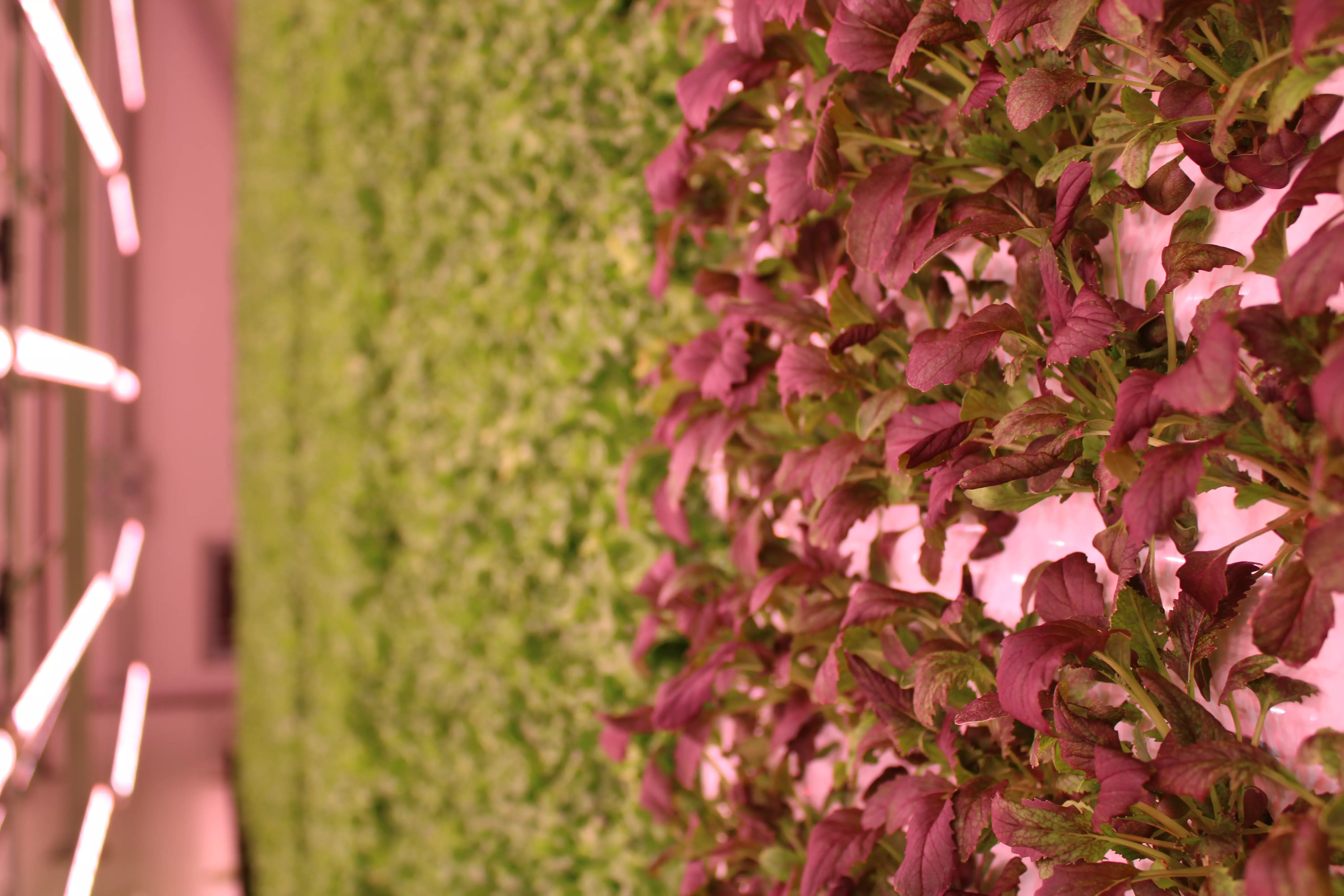img-1432.webp