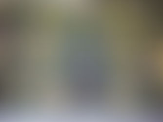 The three trees in the Crusader mosaics in the Church of the Nativity