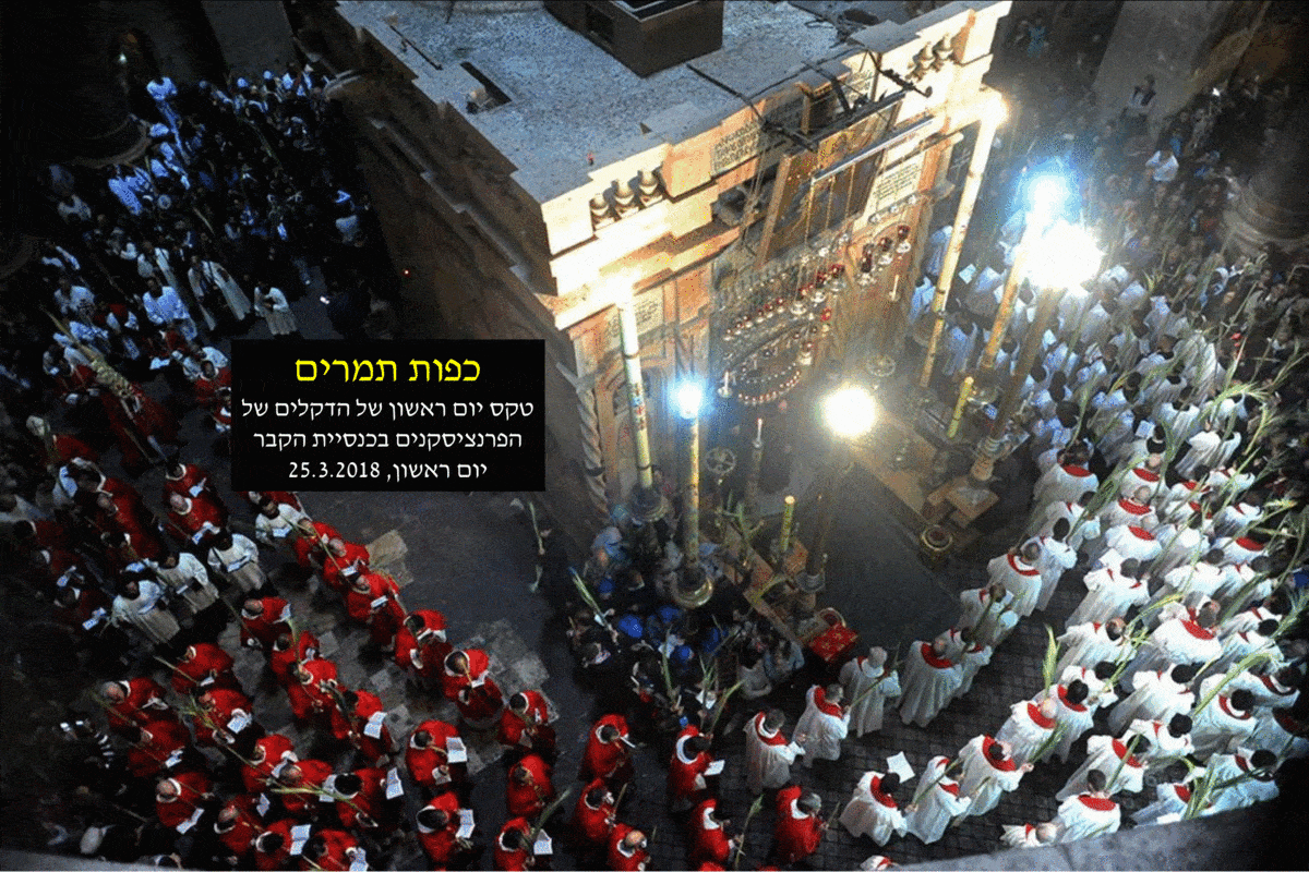 דנצו.gif