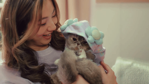 giphy-8.gif
