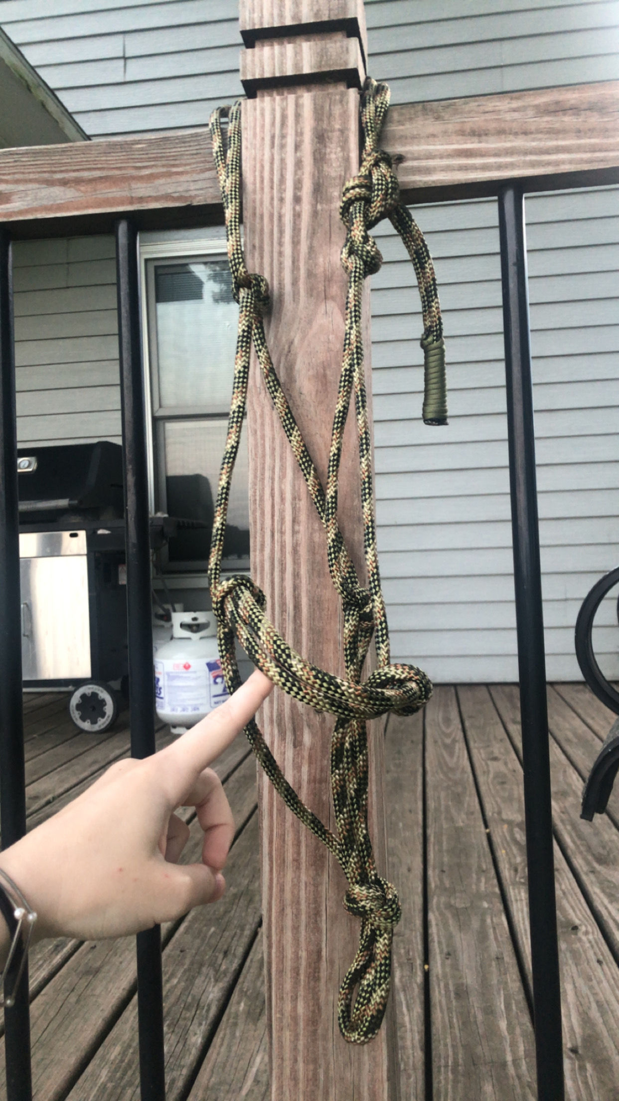 Camo halter No nose band No lead rope