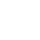White translucent butterfly