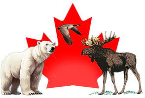 MADE IN CANADA.png