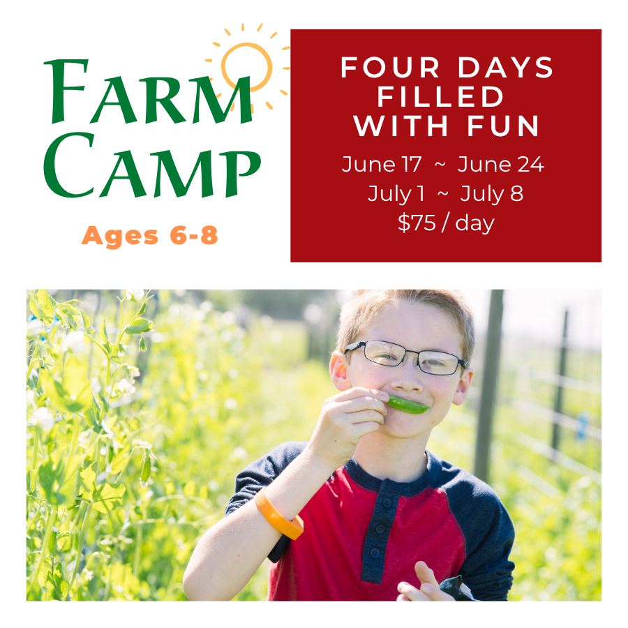 Summer Farm Camp