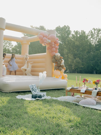 birthday party idea
girl's night
Chattanooga, TN
glamnic
luxury inflatable
tea party