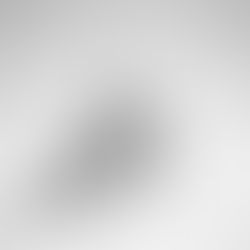 Branding 101: From Basics to Launch