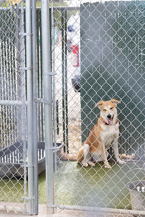 Emanuelli_Final Project_second edit_9_1179_edited.jpg