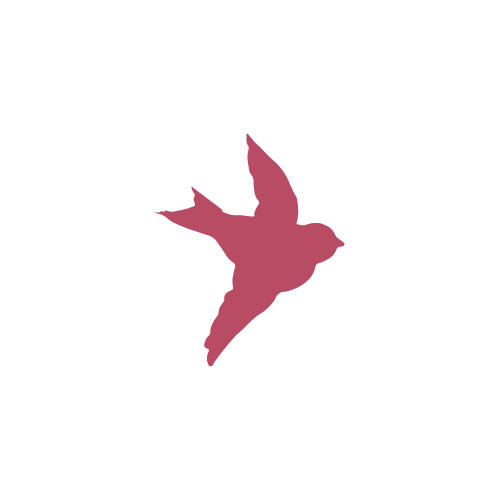 The Sparrow House Medical Aesthetics Located at 8055 West Ave Suite #122, San Antonio, TX 78213