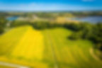Image shows green field, forest buffer, and water.
