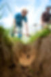 Man with shovel digging trench