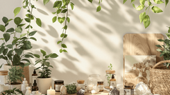 A tranquil apothecary with plants, crystals, and healing tools, bathed in soft lighting to promote a calming and peaceful atmosphere.