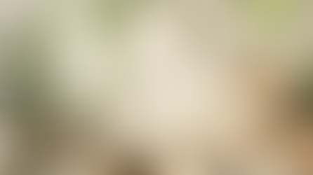 A tranquil apothecary with plants, crystals, and healing tools, bathed in soft lighting to promote a calming and peaceful atmosphere.