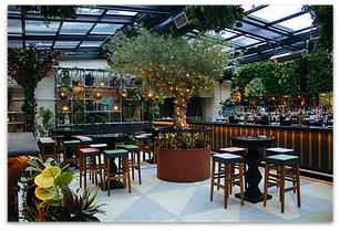 Opium bar 1.png