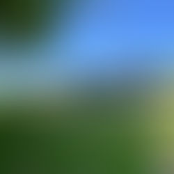 Gullestrup Børnecenter Meldgård