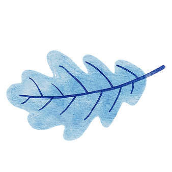 blue-leaf-7746731_1280_edited.png