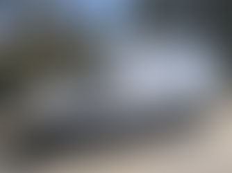 Build Timeline