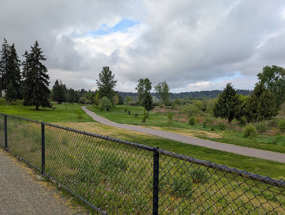 A portion of a converted golf course near Lake Balinger