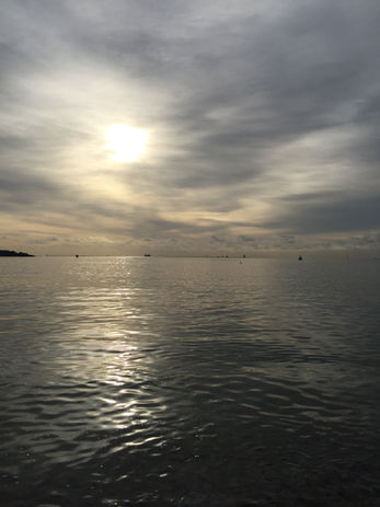 D44FE548-A7B7-4D5D-AAA5-C5B8959E4B9C.jpeg