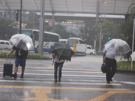 🌪️【台風対策】台風・竜巻被害を補償「THEすまいの保険」をご紹介!