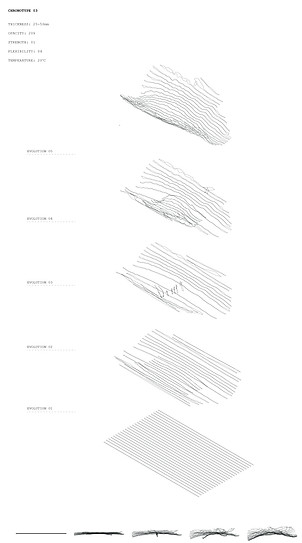 Fennel Transformation-03.jpg