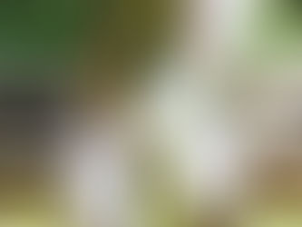 4 Top Tips on how to reduce your stress levels when planning your big day