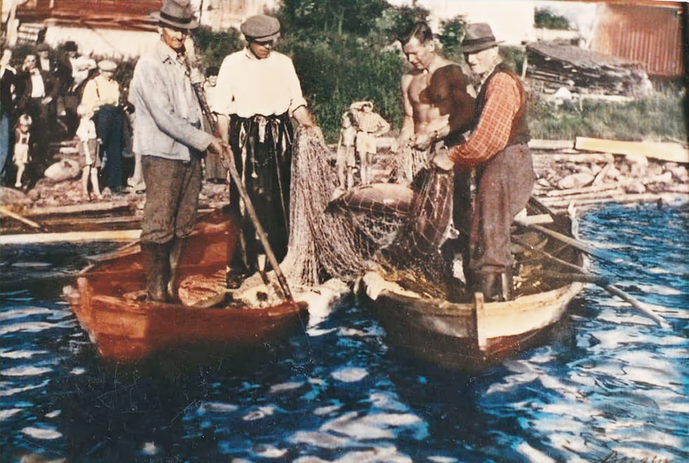 Laksefiske 1947-HISTORIEBILDET Dagens bilde er et håndkolorert foto fra laksefisket ved He