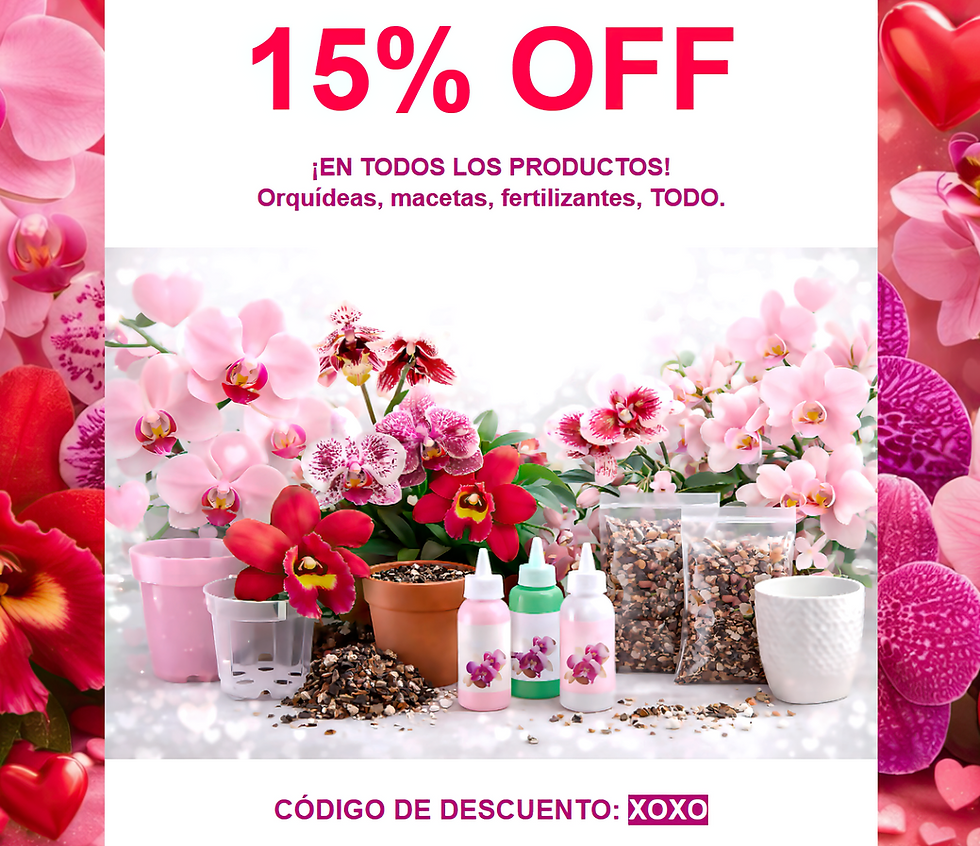 Toda la Tienda